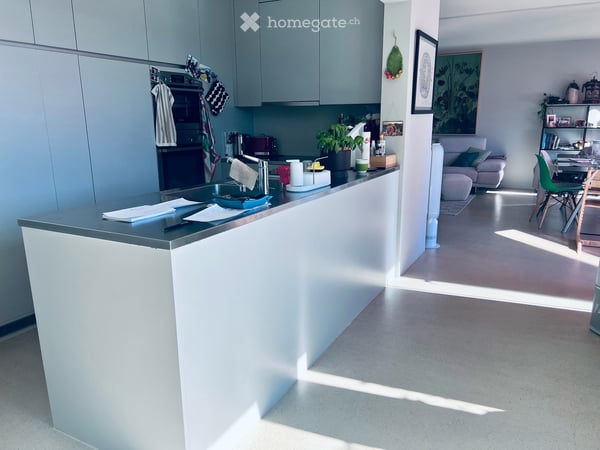 Helle 3.5-Zimmer-Attika-Wohnung mit schöner Aussicht in 8032 Zürich 10