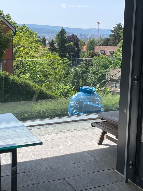 Exklusive 2.5-Zimmer-Duplex-Wohnung mit Kamin und Garage am Zürichberg 6