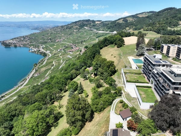 2,5 pièces vue imprenable au cœur du Lavaux (UNESCO) - Reprise de bail reprise à convenir