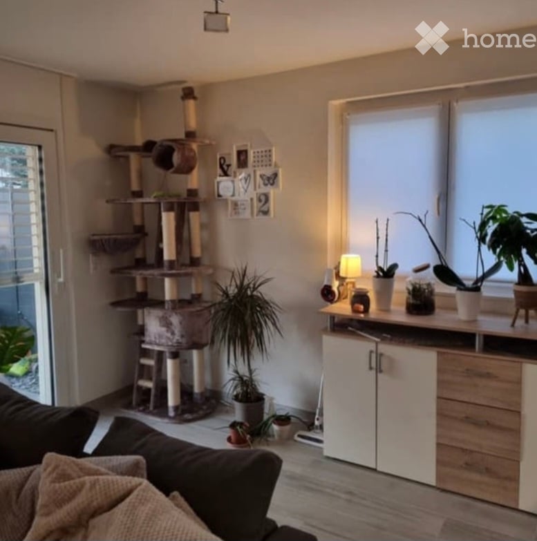 A cozy living room with a large window, a cat tree, a sofa, a cabinet with potted plants, and a table lamp.