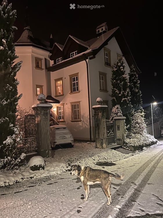 Wohnen im wunderschönen Schloss Lohnegg mit Seesicht 14