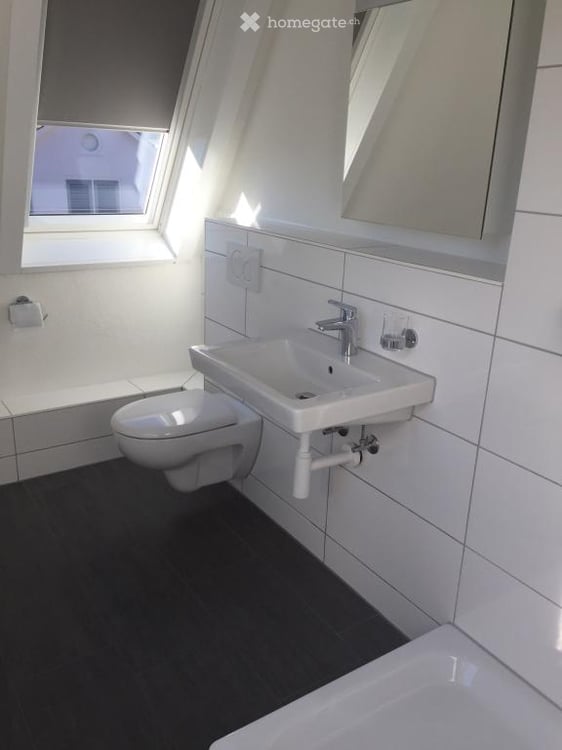 3.5 Zimmer Wohnung in Wetzikon ZH 4