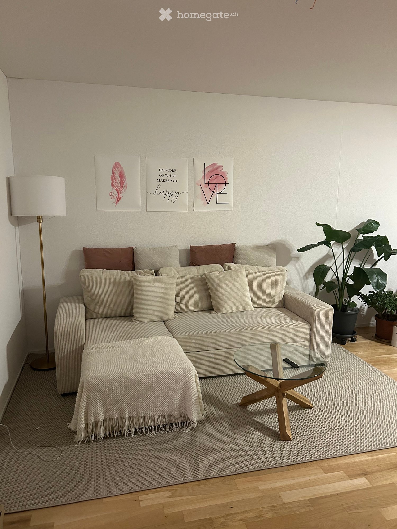 modern living room with couch, throw blanket, coffee table, floor lamp, plants, artwork, rug