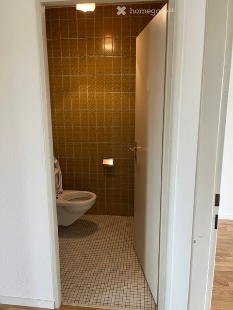 Helle 2-Zimmer-Maisonette-Wohnung an der Hardstrasse in Basel mit Liftzugang 9