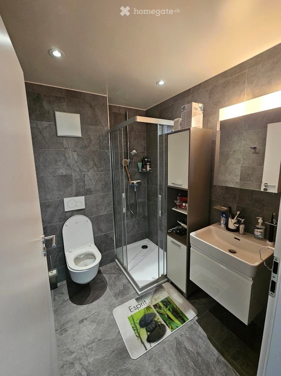 Charmant appartement récent de 3.5 pièces avec vue sur les montagnes à Vionnaz 2