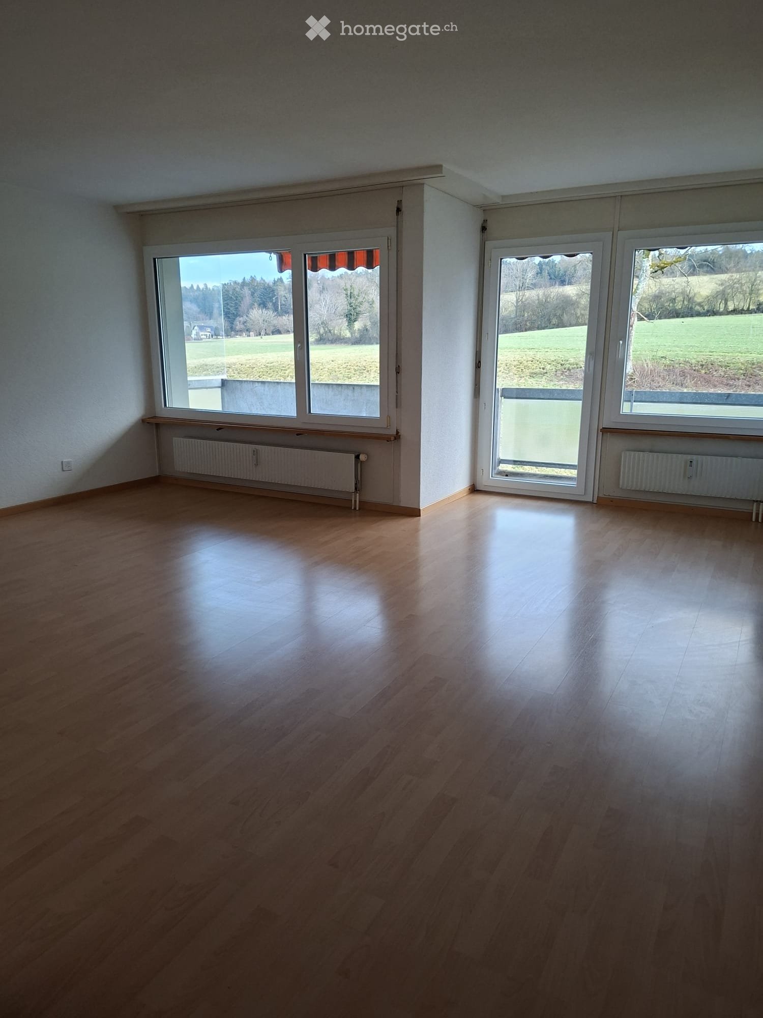 balcony, double windows, hardwood floors, white walls, open room, heating panels, wide view