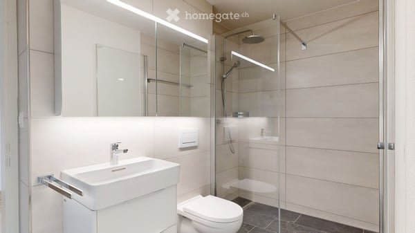 Frisch sanierte Dachwohnung mit traumhafter Seesicht 6