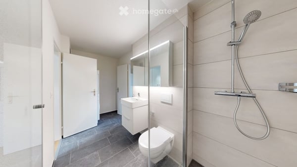 Frisch sanierte Dachwohnung mit traumhafter Seesicht 7