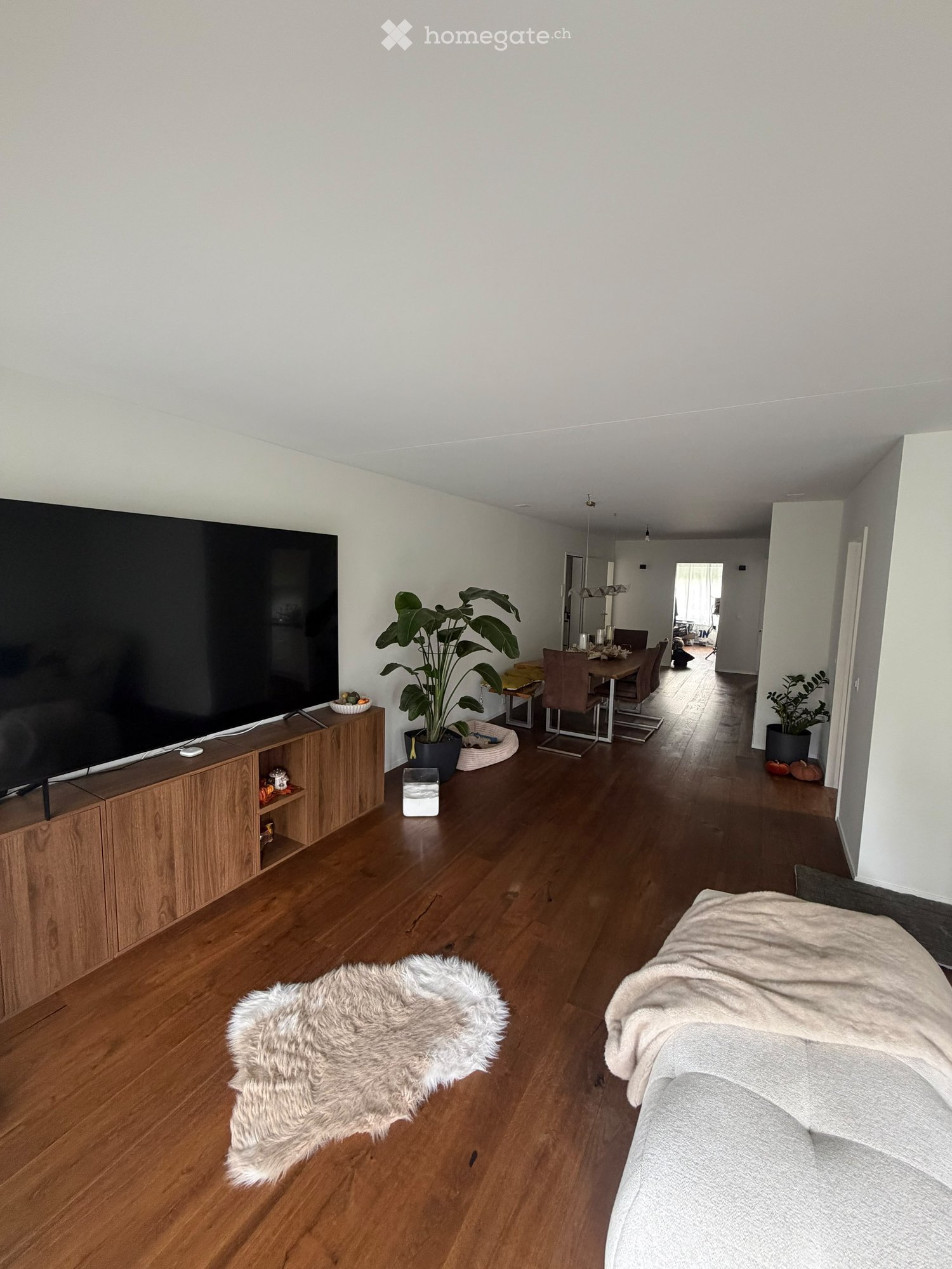 Open-plan living and dining area with wooden flooring, a large TV on a wooden stand, a sofa with a blanket, a fur rug, a dining table with chairs, and potted plants.