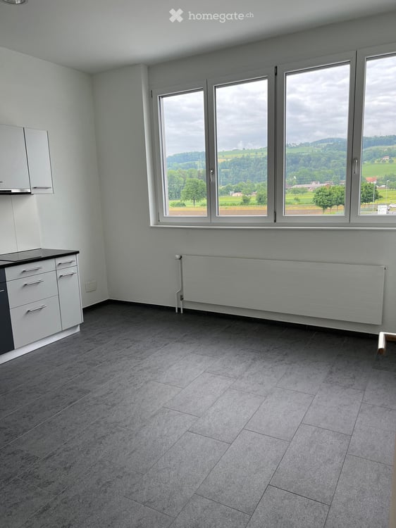 Heller Gewerberaum (100 m² / 3m Raumhöhe) an Top-Lage in Sursee zu vermieten 6