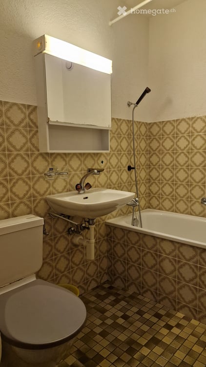 Möblierte 3-Zimmer-Ferienwohnung in Meierhof (Obersaxen) mit herrlichem Bergblick 9