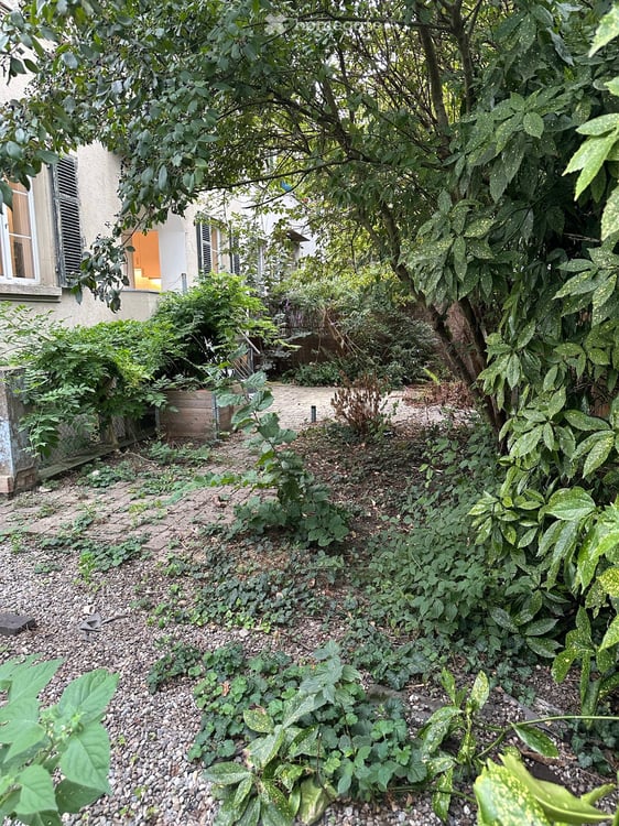 Privater Garten im Gundeli – 11 Gehminuten zum Bahnhof SBB 1