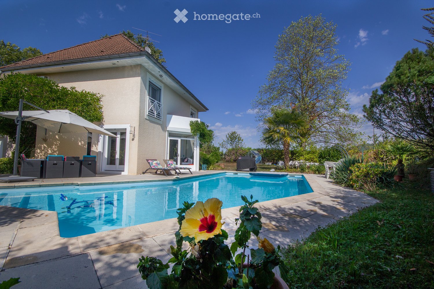 A modern house with a swimming pool in the garden area, surrounded by lush greenery, palm trees, and colorful flowers.