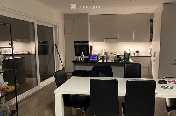 WG-Zimmer im Villenviertel mit herrlicher Alpensicht! 7 min Velo zum Bahnhof Olten (30min ZH/BE/BAS) 10