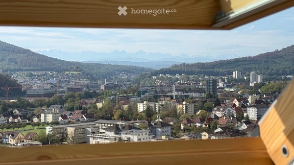 WG-Zimmer im Villenviertel mit herrlicher Alpensicht! 7 min Velo zum Bahnhof Olten (30min ZH/BE/BAS) 9