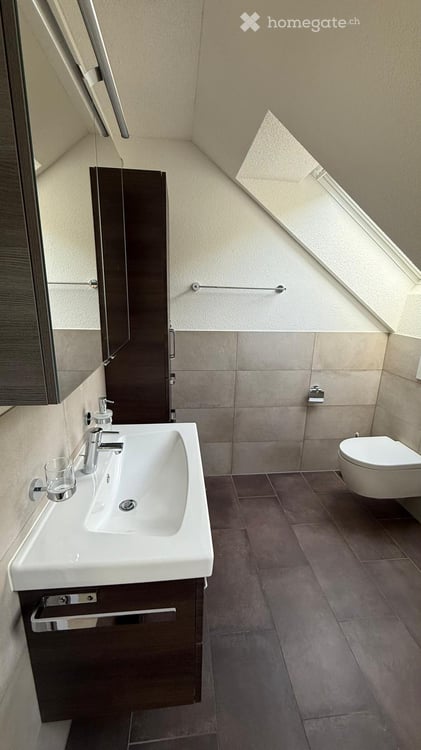 WG-Zimmer im Villenviertel mit herrlicher Alpensicht! 7 min Velo zum Bahnhof Olten (30min ZH/BE/BAS) 13