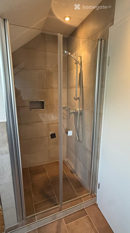 WG-Zimmer im Villenviertel mit herrlicher Alpensicht! 7 min Velo zum Bahnhof Olten (30min ZH/BE/BAS) 12