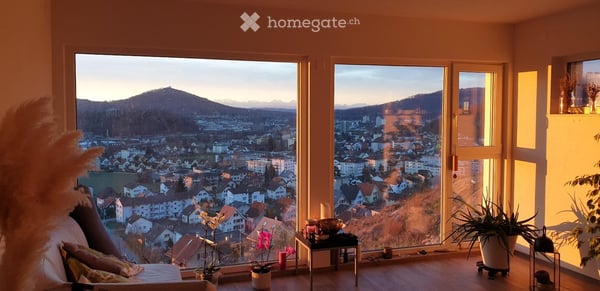 WG-Zimmer im Villenviertel mit herrlicher Alpensicht! 7 min Velo zum Bahnhof Olten (30min ZH/BE/BAS) 2