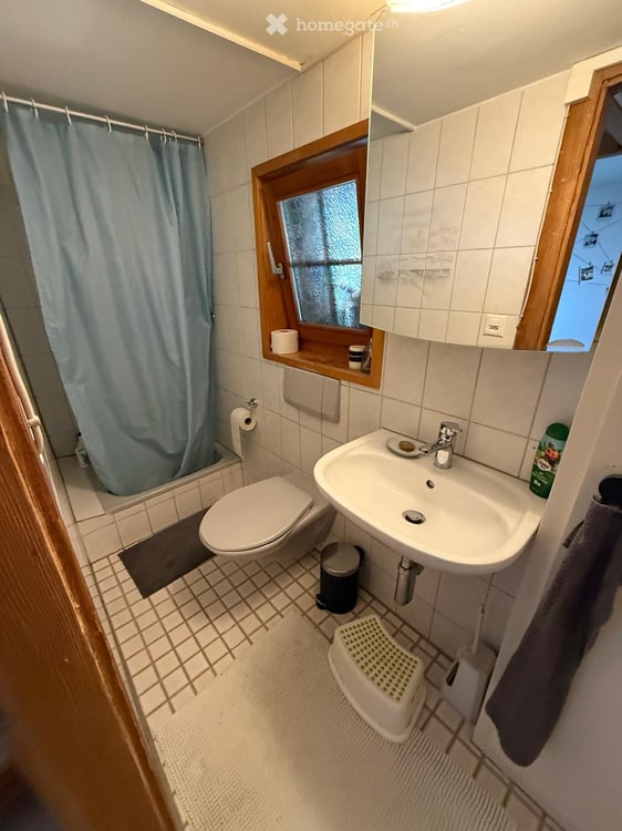 Charmantes 6.5-Zimmer-Einfamilienhaus an ruhiger Lage in Wetzikon ZH 5