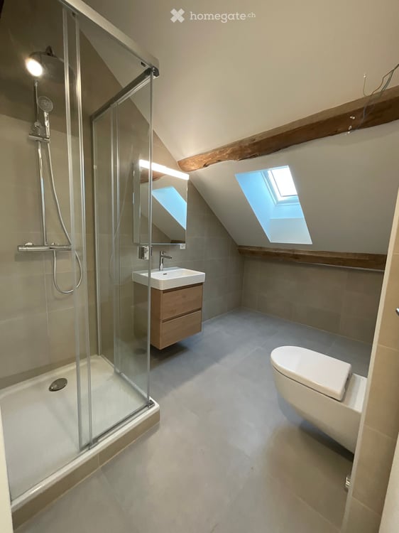 Maison de charmante et rénovée à Sézegnin (Avusy) – 6 pièces avec terrasse et jardin privatif 7