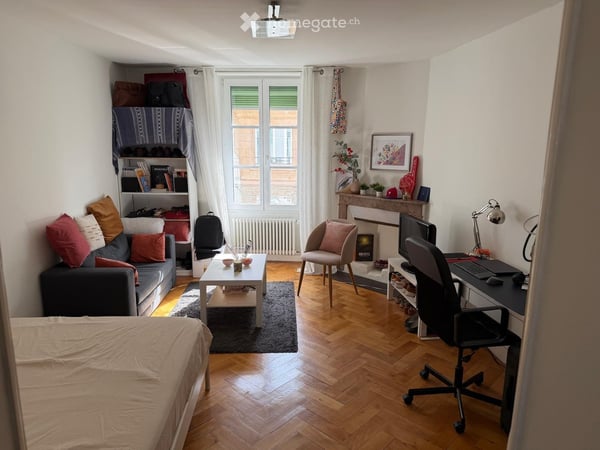 Reprise de bail – Appartement meublé 1 pièces – Genève Pâquis / Lac – Disponible 1er novembre 1016 1