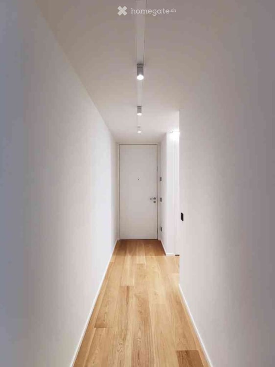 Prestigioso 3.5 locali a Paradiso | disponibile da subito 3
