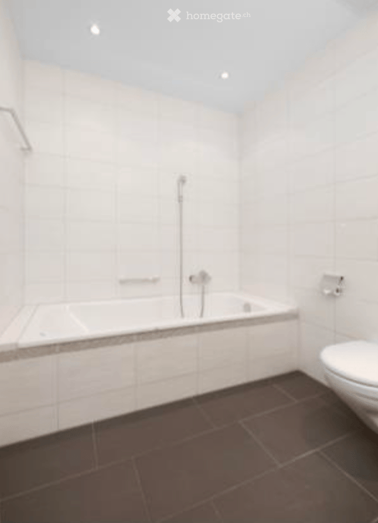 Helle 2.5-Zimmer-Terrassenwohnung an ruhiger Lage – Hedingen ZH 8
