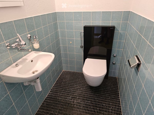 Einzigartige 5½-Zimmer-Dachwohnung mit 130 m² privater Dachterrasse und Weitsicht 14