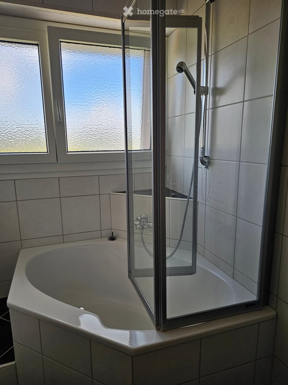 Einzigartige 5½-Zimmer-Dachwohnung mit 130 m² privater Dachterrasse und Weitsicht 13