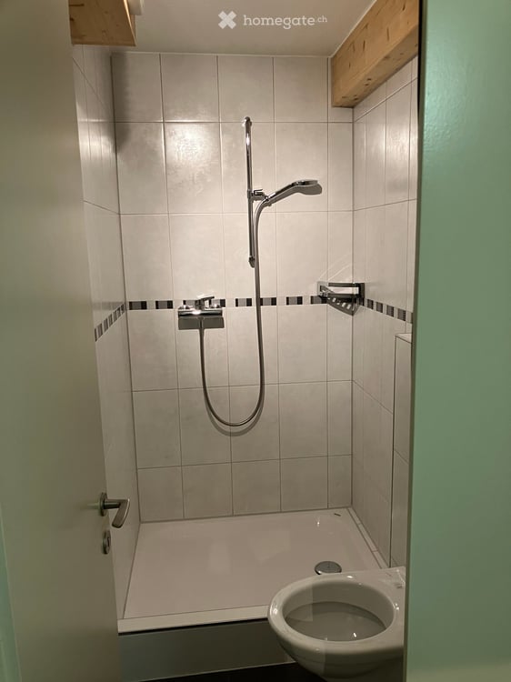 2-Zimmer-Wohnung in Wetzikon ZH 8