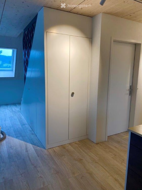 3 1/2 Zimmer-Dachwohnung mit grossem Nebenraum 4