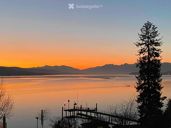 Attikawohnung mit 180 Grad toller See- und Fernsicht in die Berge in Oberrieden - 4.5 Zimmer 12