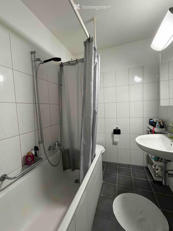 Attikawohnung mit 180 Grad toller See- und Fernsicht in die Berge in Oberrieden - 4.5 Zimmer 7