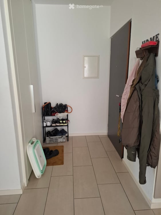 Cerco subentrante per appartamento di 3,5 locali con posteggio e giardino privato a Bellinzona 1
