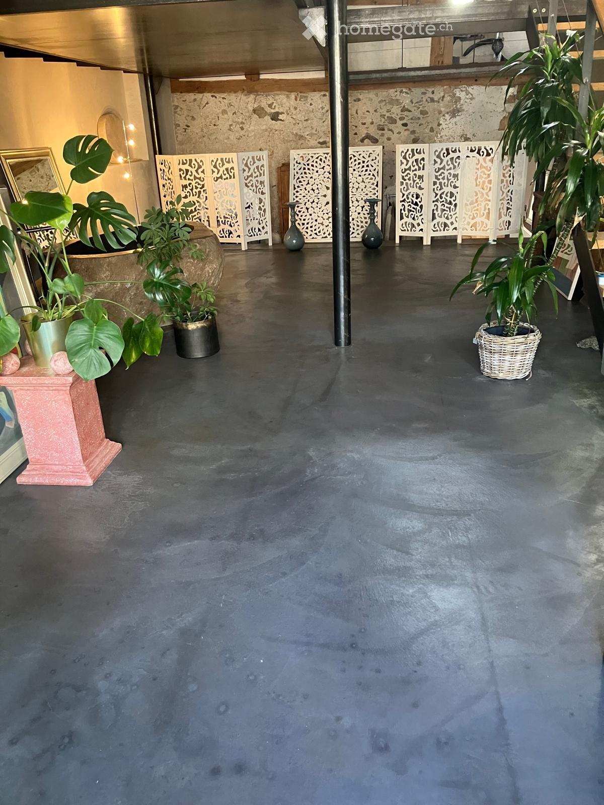 A spacious, open room with a concrete floor, decorative screens, vases, and potted plants.