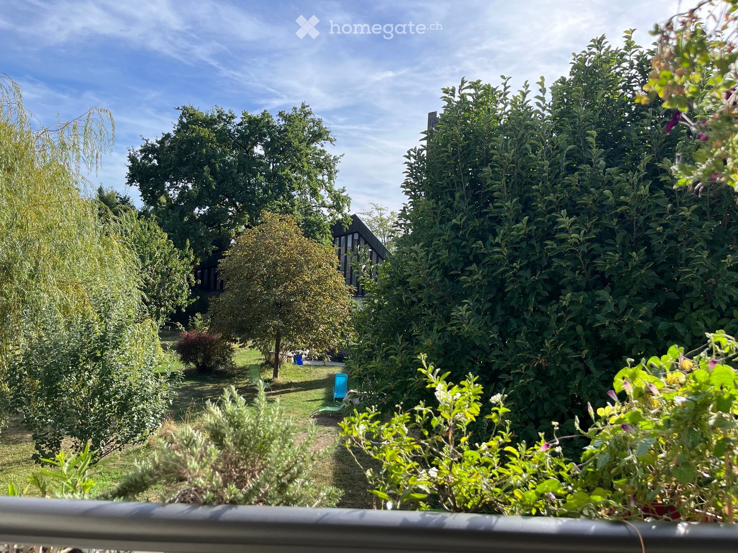 Garden with various trees, shrubs, and a small seating area with chairs.
