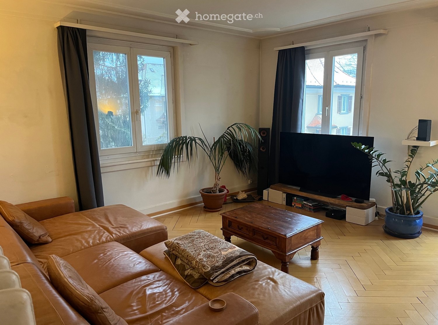 Bright living room with large windows, leather sofa, coffee table, ottoman, potted plants, and a television on a stand.