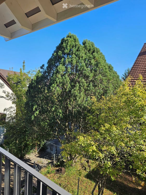2.5-Zimmerneubauwohnung in Greifensee
