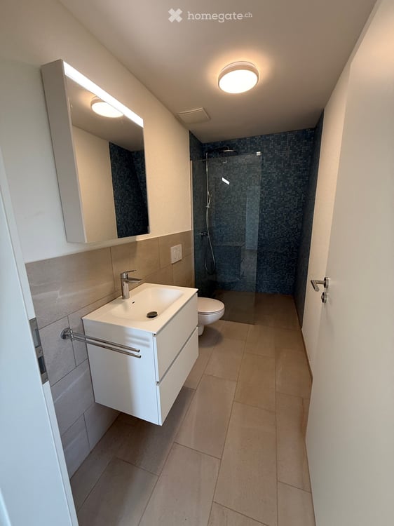 Chance für neue 3.5 Zimmer-Wohnung mit 50m2 Terrasse, gute Lage, in Schlieren 11