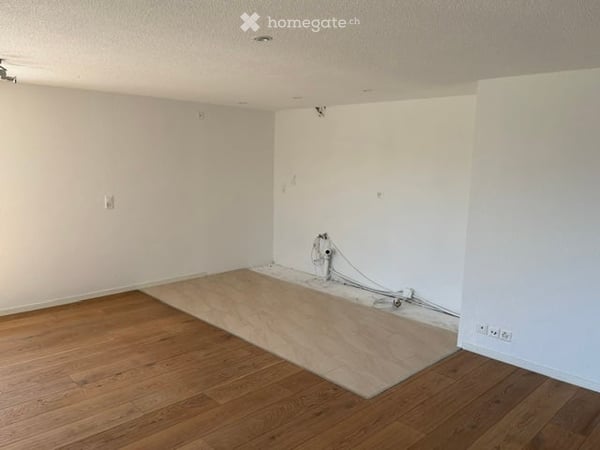 Schöne Gartenwohnung mit Blick in die Berge in Hirzel 18