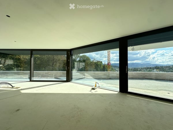 Exklusive 7-Zimmer-Attikawohnung in Binningen - Neubau mit Minergie P-Standard 11