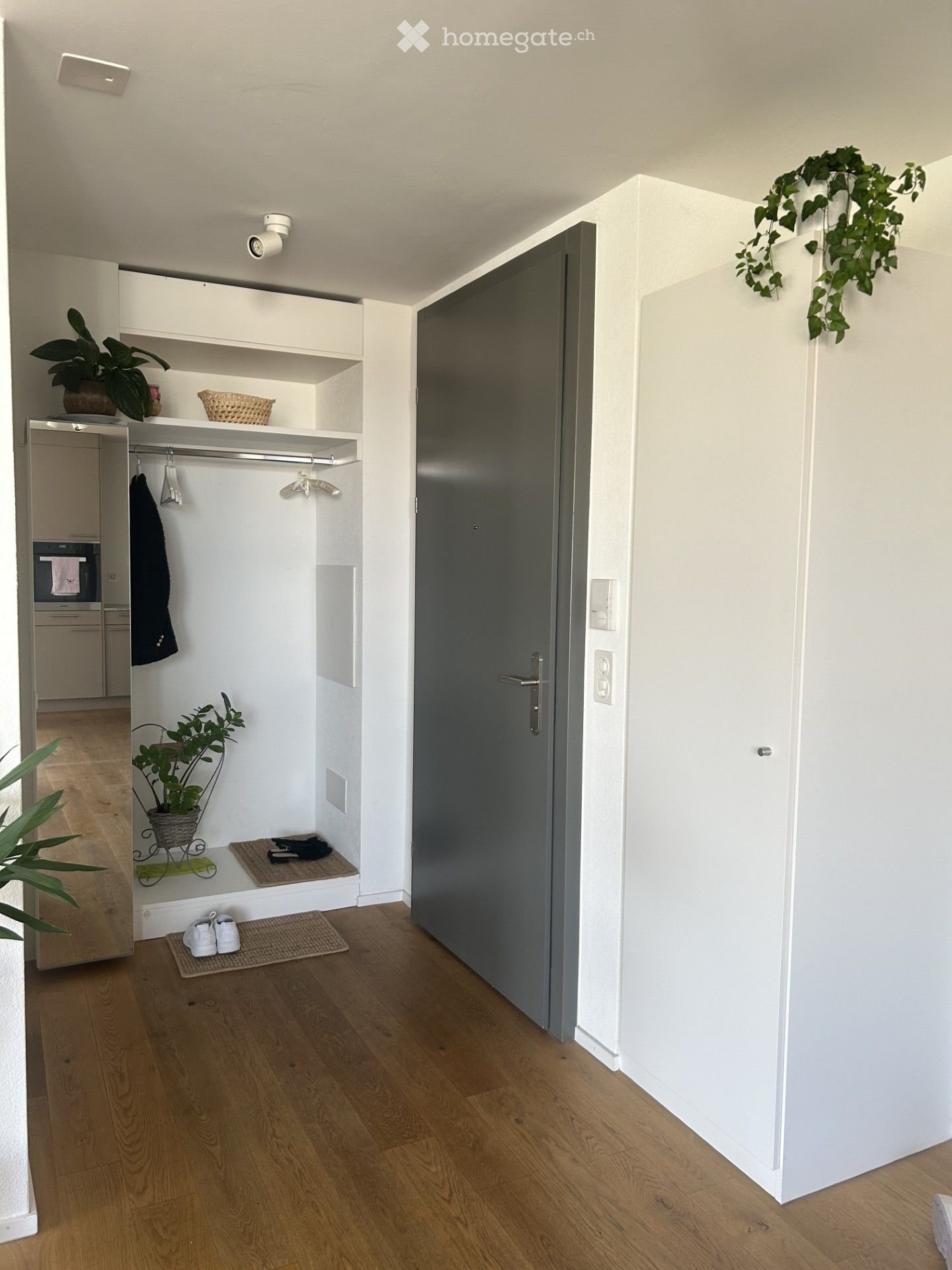 Modern hallway with wooden flooring, white walls, built-in closet with shelves, coat rack, and small potted plants. A grey door leads to another room.