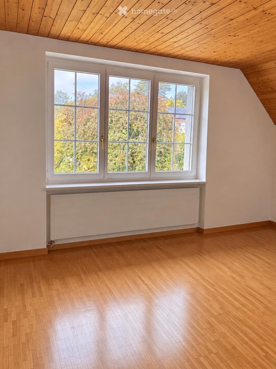 Einfamilienhaus in Berg TG 28