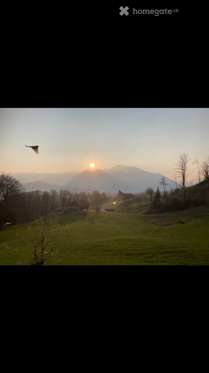 Charmantes 6.5-Zimmer-Einfamilienhaus in Reichenburg 15