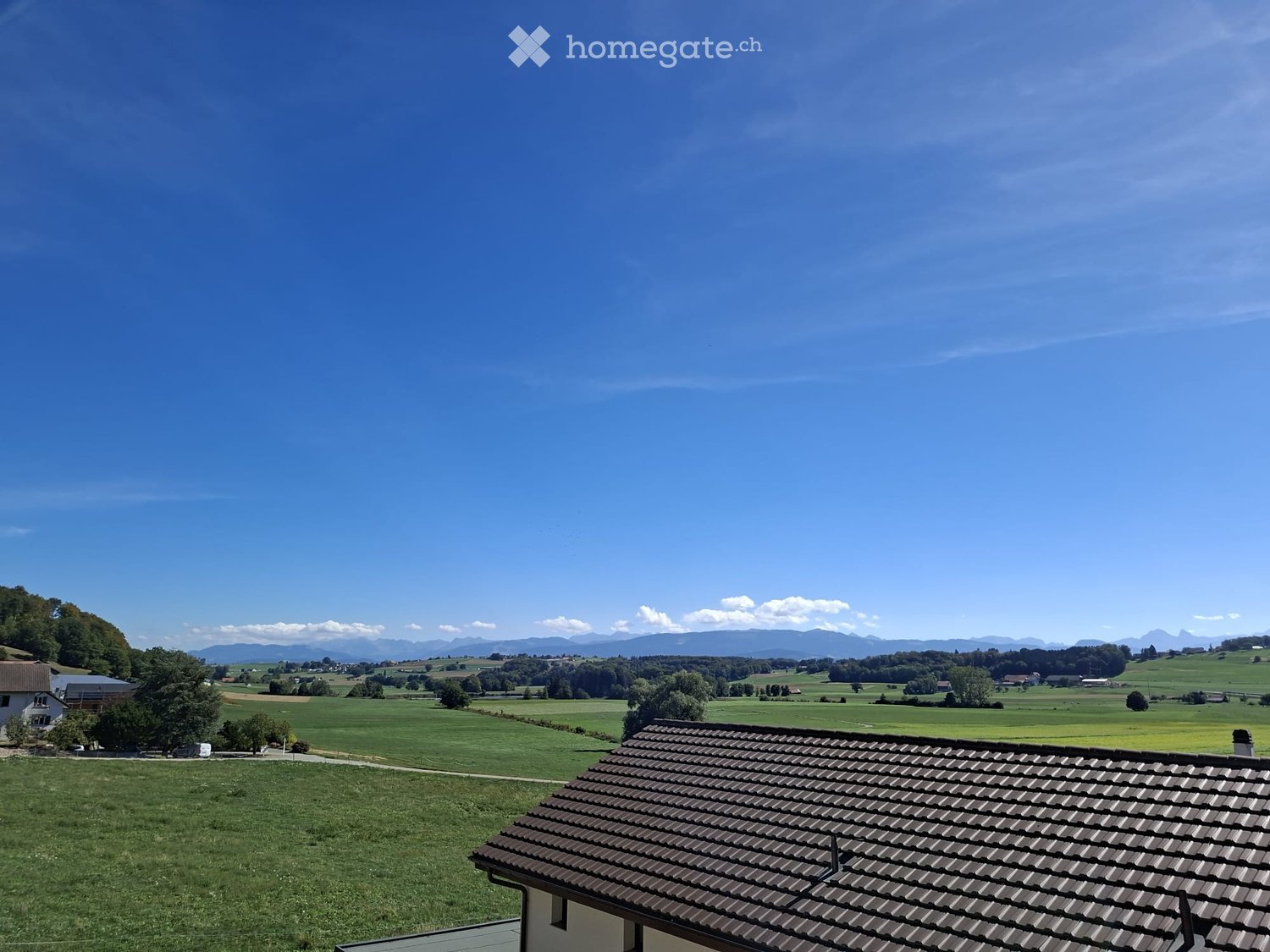 A panoramic view of a lush green field with scattered trees and distant mountains under a clear blue sky.