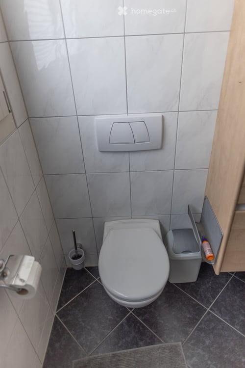 4 ½ Zimmer Wohnung Seidenstrasse 24C 9