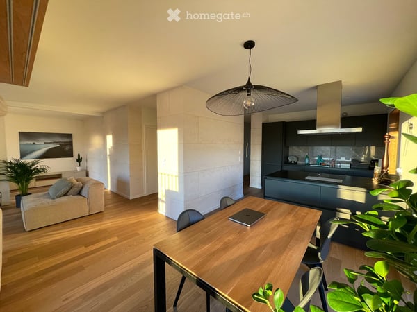 Spacieux appartement meublé de 5 pièces avec vue dégagée – Plan-les-Ouates 1