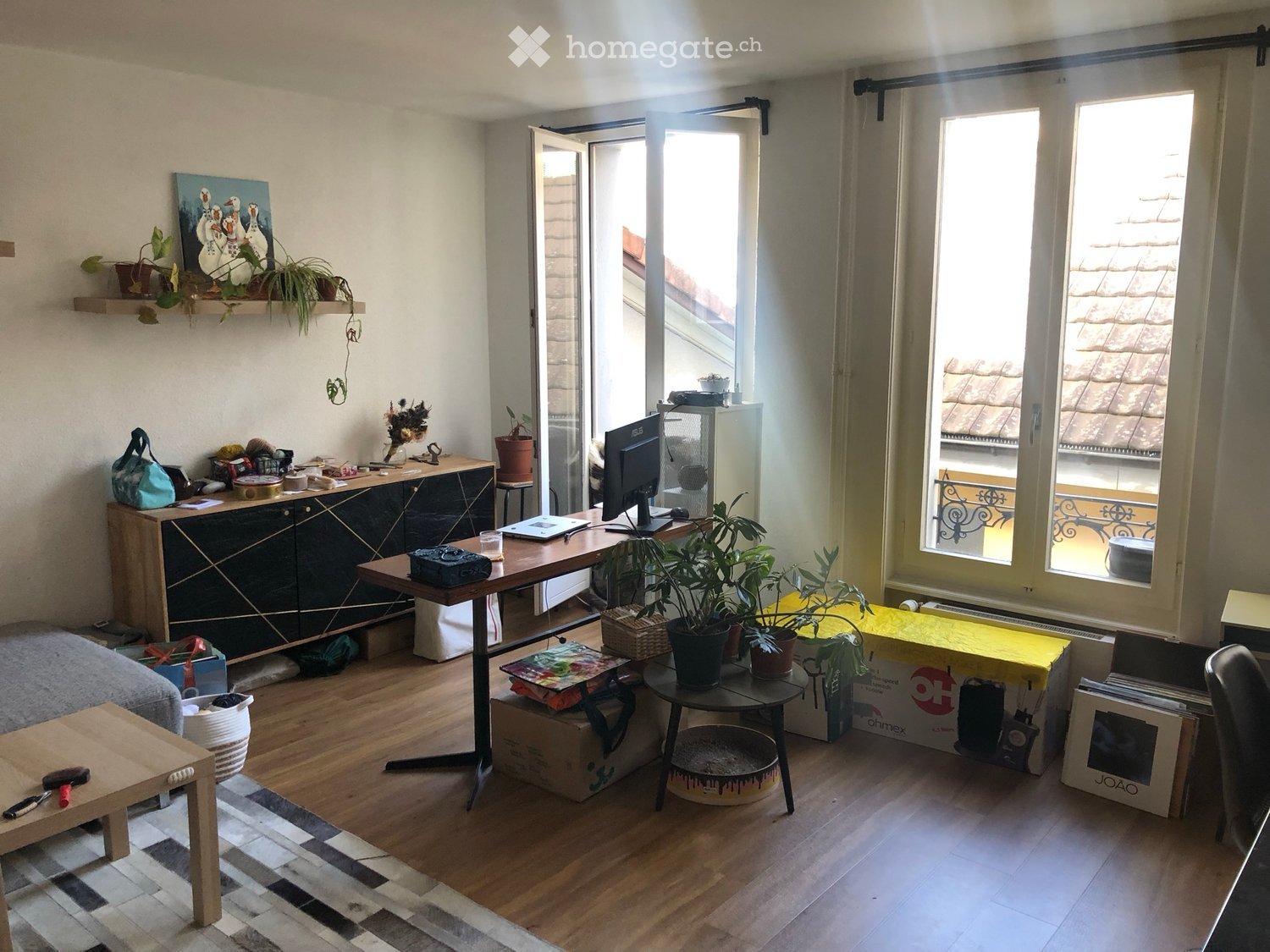 A well-lit room with wooden flooring, a large window with a view, a desk with a computer, a cabinet, a small table with plants, and a cat tree.