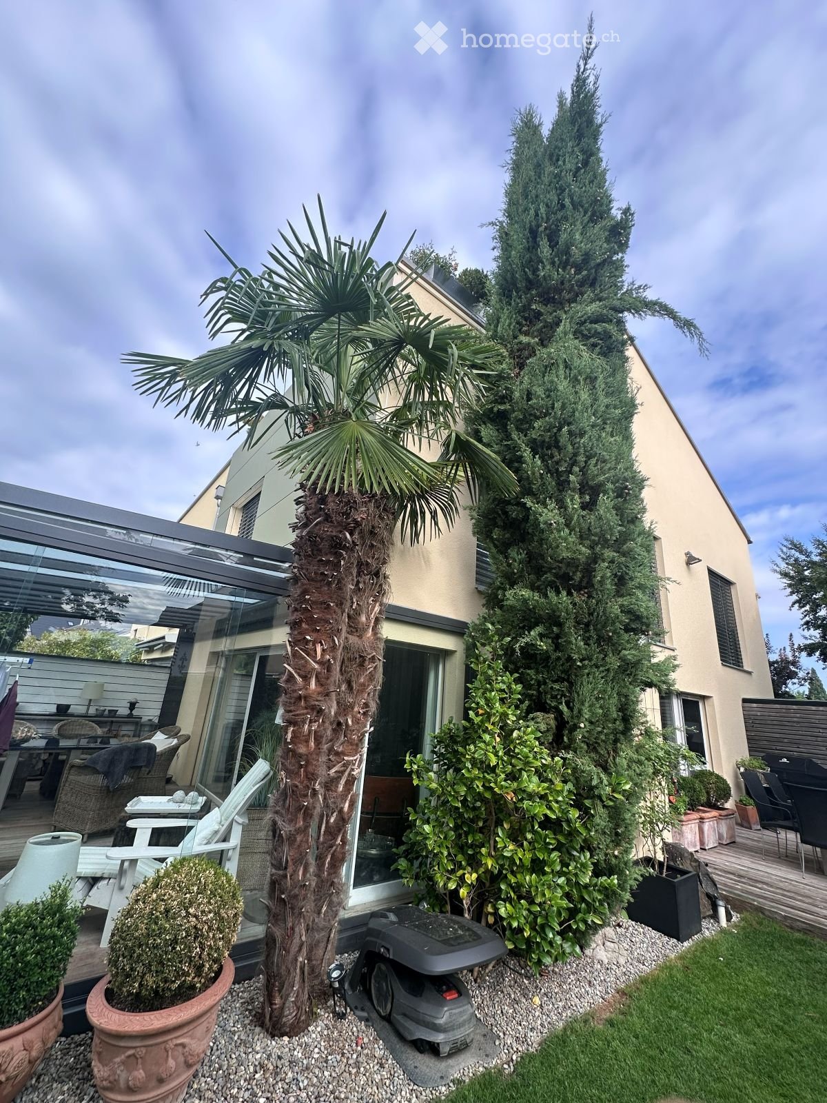 Garden area with a tall palm tree, a conifer tree, potted plants, a covered patio with outdoor furniture, and a lawn.