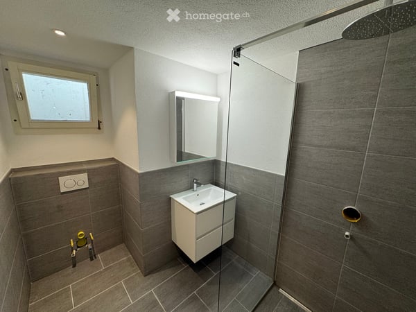 Freistehendes Einfamilienhaus in Aristau mit traumhaften Weitblick und viel Potential 21